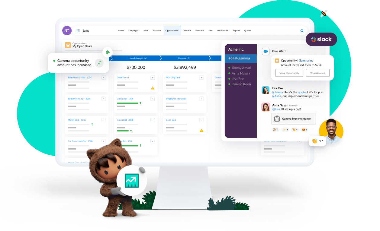 Salesforce sales CRM interface