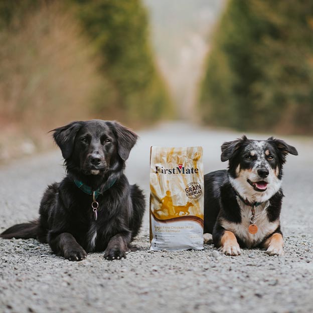 Firstmate Pet Food Brand Firstmate Pet Food Brand